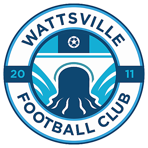 Wattsville FC