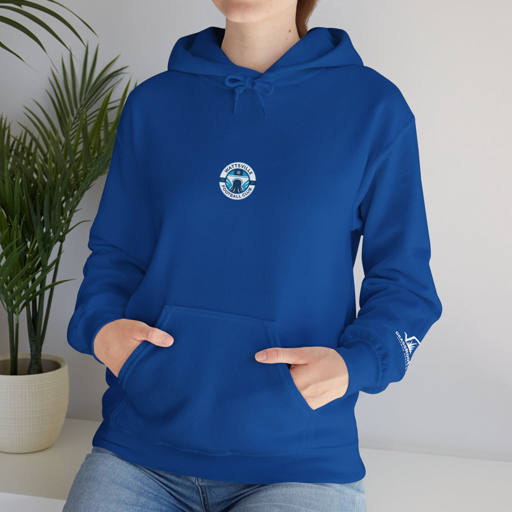 Unisex Heavy Cotton Wattsville Hoodie