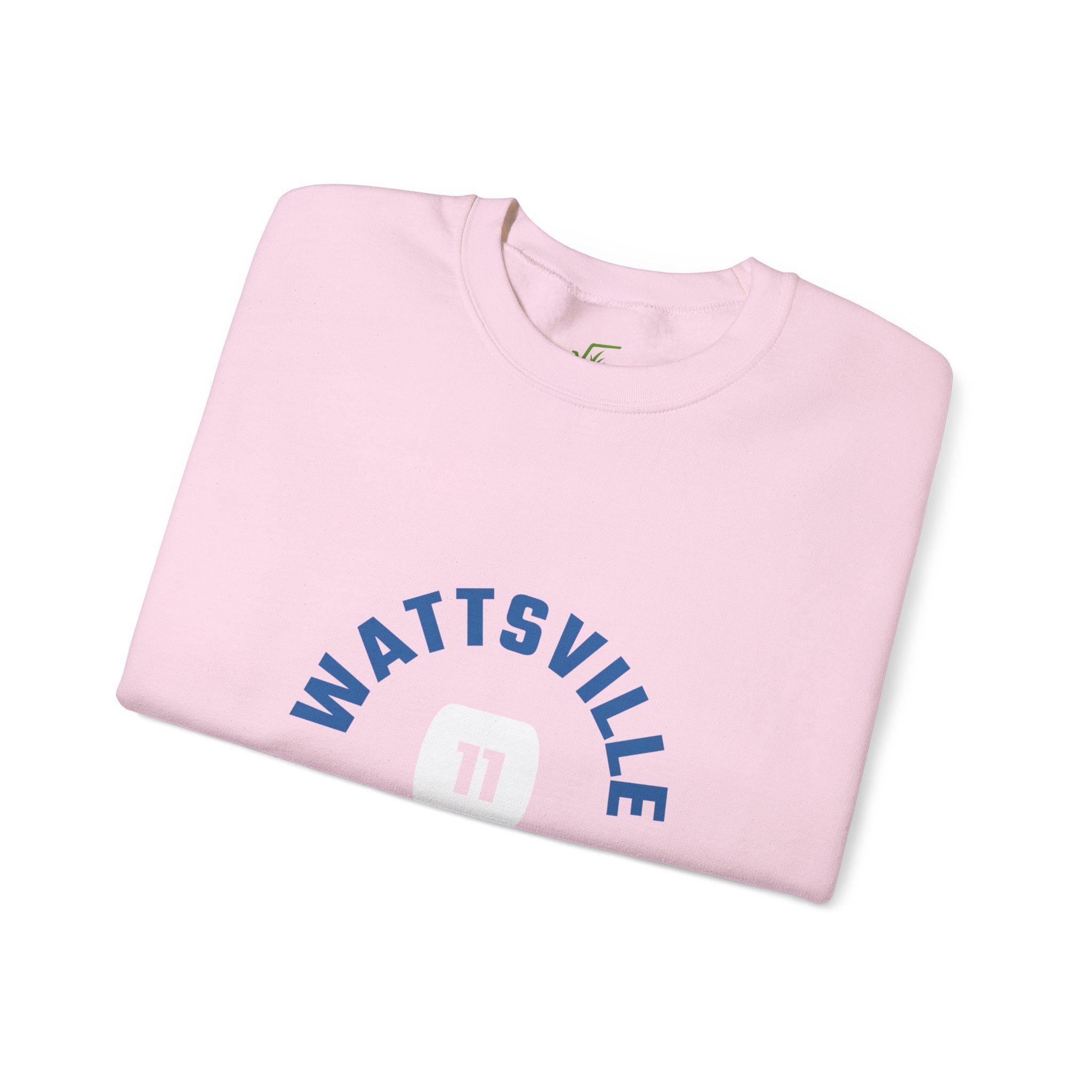 Unisex Heavy Cotton Wattsville Sweatshirt