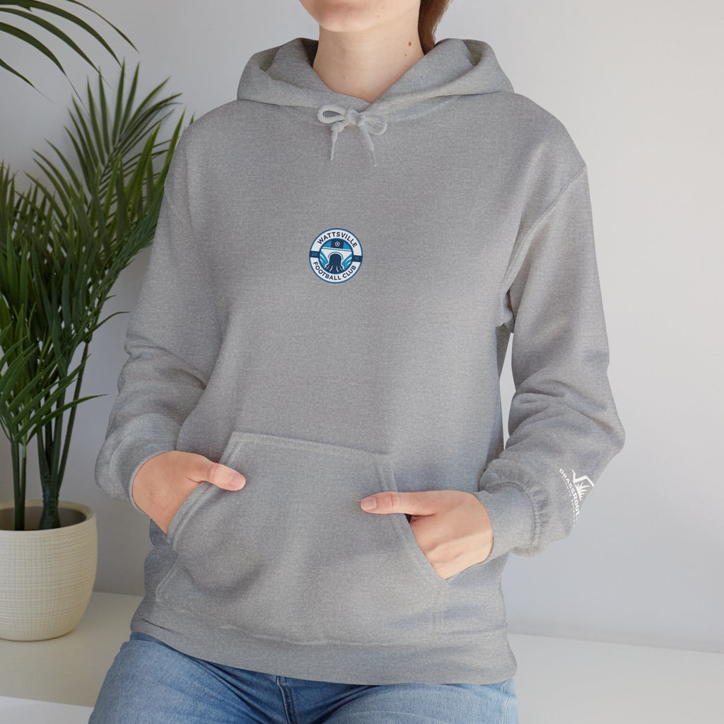 Unisex Heavy Cotton Wattsville Hoodie