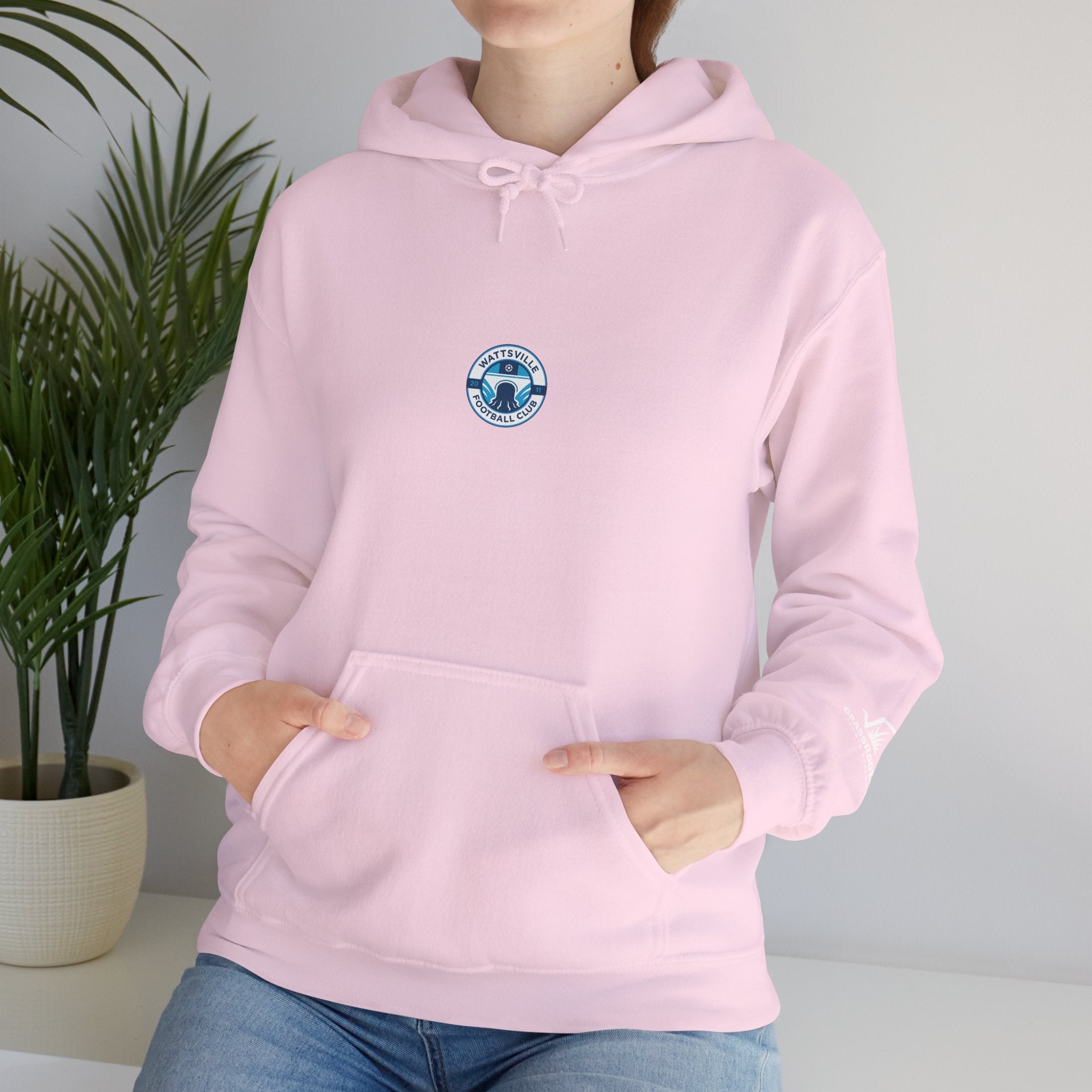 Unisex Heavy Cotton Wattsville Hoodie