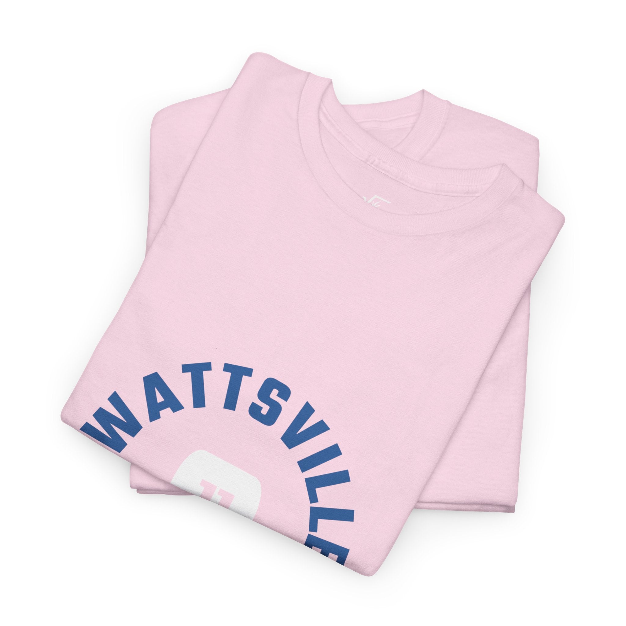 Unisex Heavy Cotton Wattsville Tee